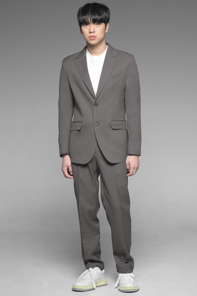 Taupe Gray Single Breasted Suit Set